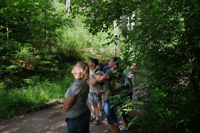 3 in 1 Tour Brewery & Castle in Bohemian Paradise Unesco Geopark - Prague to Bohemian Paradise: How the Morning Sets You Up