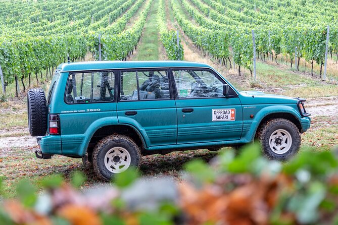 A delightful wine tasting in the scenic countryside with lunch - Weather, Comfort, and What to Bring for a Smooth Day