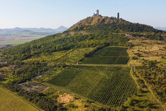 A delightful wine tasting in the scenic countryside with lunch - Off-Road Safari Views: Extinct Volcano Country and Photo Stops