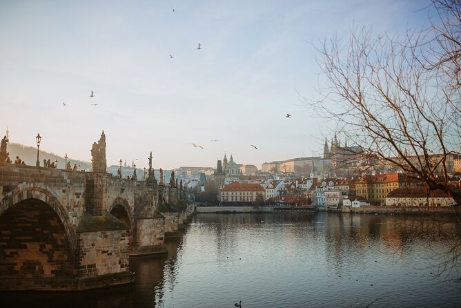 Award-Winning Prague Evening Old Town Food and Drink Tour - Should you book the Prague Evening Old Town food and drink tour?