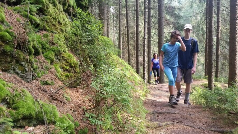 Bohemian Switzerland: Private Day Trip from Prague - First, What Makes Bohemian Switzerland Work in One Day