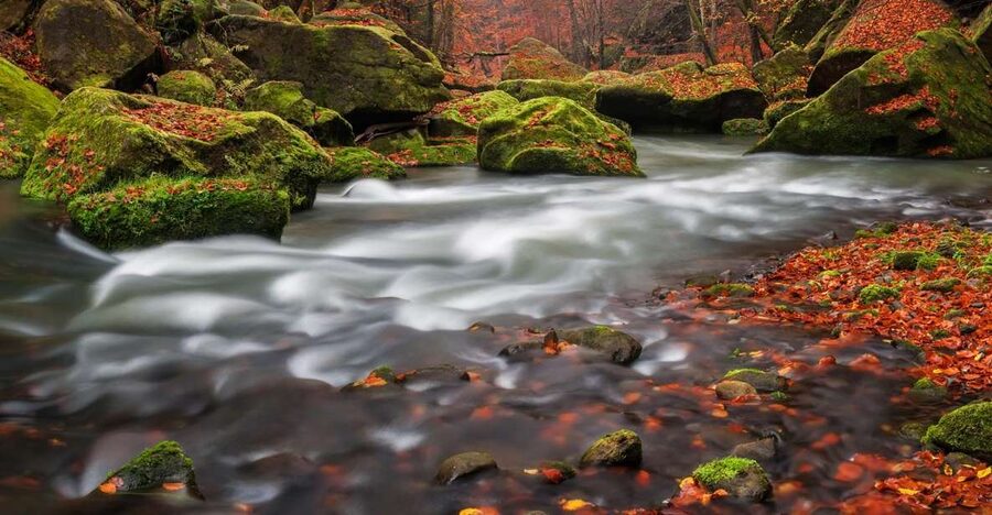 Bohemian Switzerland: Private Day Trip from Prague - Logistics That Affect Your Day (Quick and Honest)