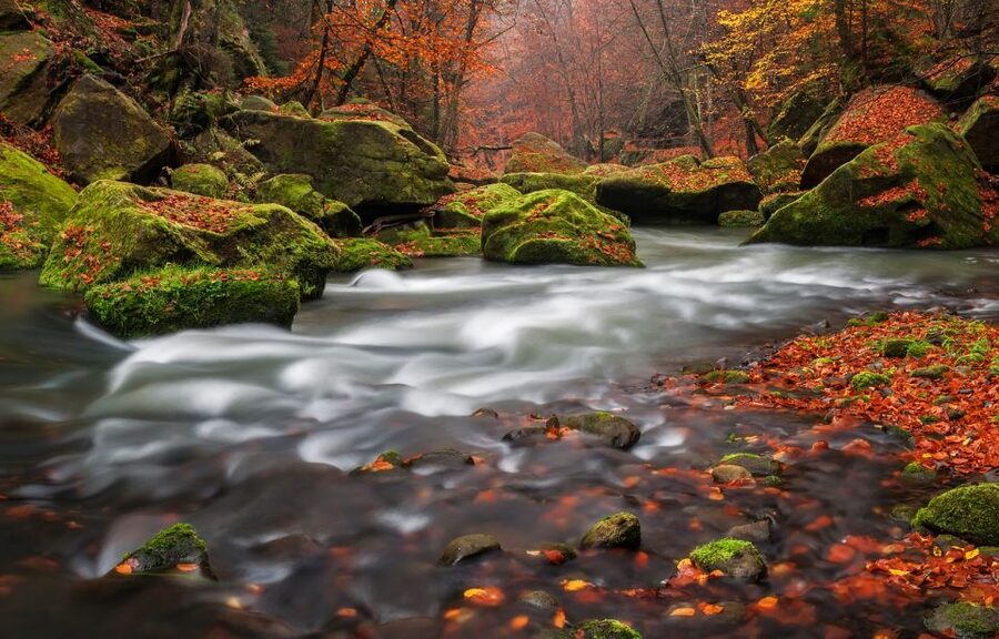 Bohemian Switzerland: Private Day Trip from Prague - Hřensko: The Historic Town Stop That Breaks Up the Hike