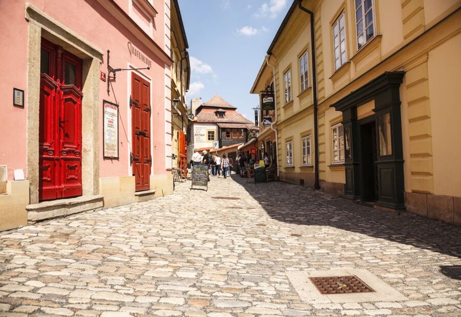 Bone Church and Kutna Hora Private Tour from Prague - Who Should Book This Tour (and Who Should Skip the Bone Church)