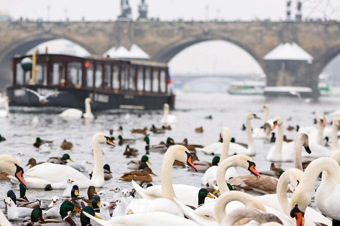 Charles Bridge: River Boat Cruise & Guided Tour ️with PragueWay - Charles Bridge Museum: the included stop that rounds out the story