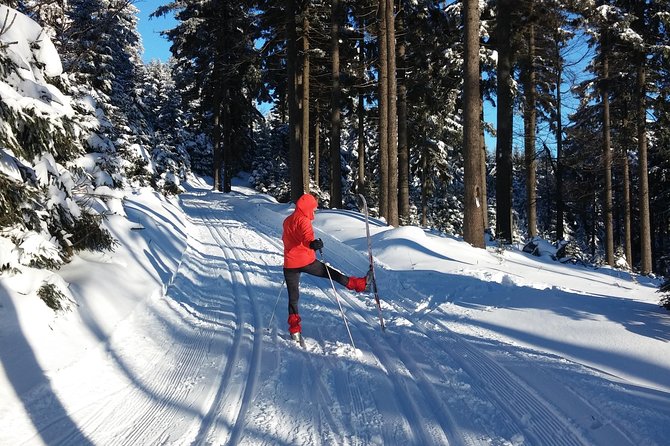 Cross-Country Skiing Guided Tour From Prague - Prague pickup, then straight into winter mode