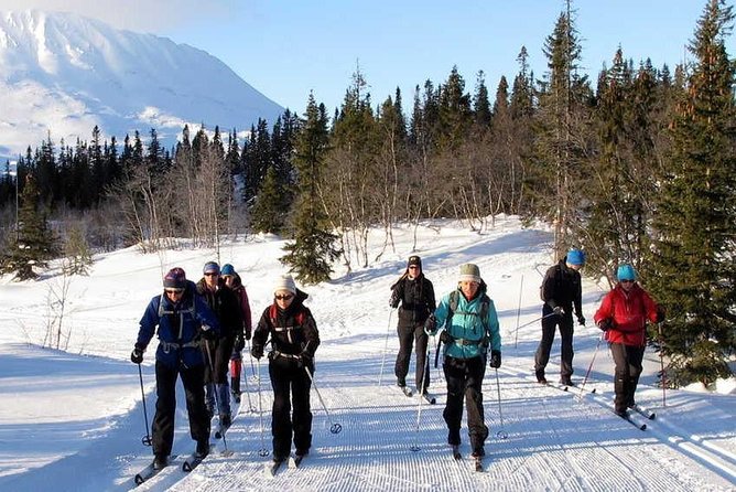 Cross-Country Skiing Guided Tour From Prague - What the guides do that makes the day work