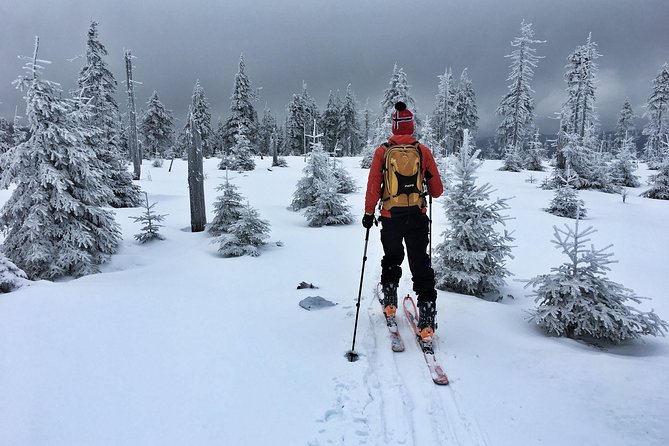 Cross-Country Skiing Guided Tour From Prague - Price and value: why $313 can make sense