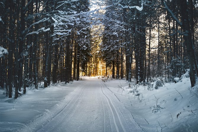 Cross-Country Skiing Guided Tour From Prague - Weather, timing, and comfort: the practical stuff that decides your day