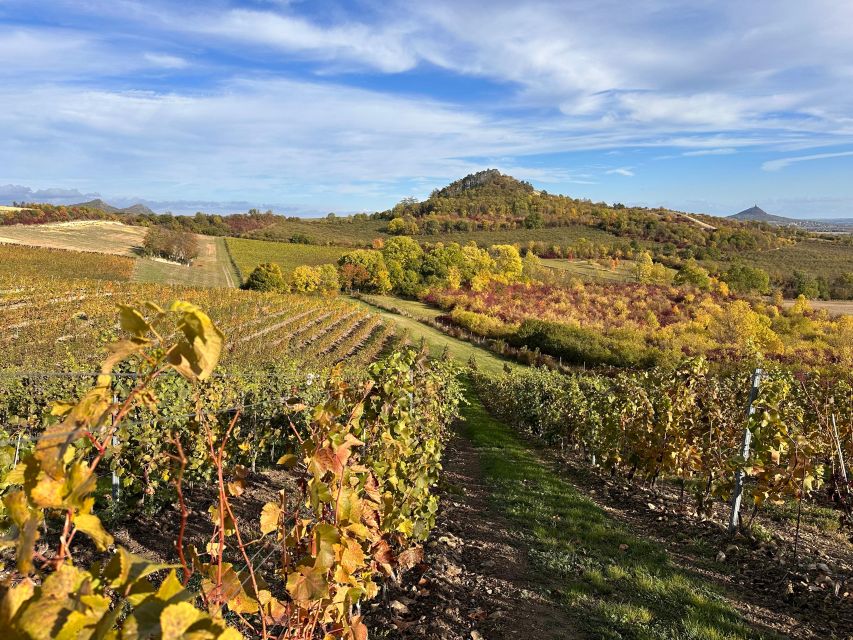 Czech Vineyards and Wine Tasting 4WD Tour with Lunch - Lunch in the countryside: Czech food, far castle views, and beer