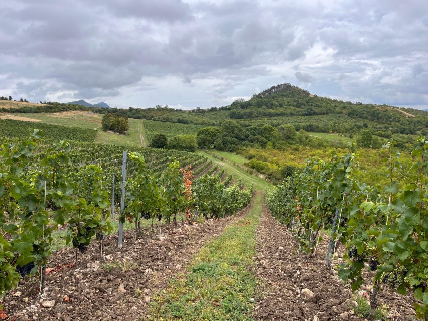 Czech Vineyards and Wine Tasting 4WD Tour with Lunch - The gothic castle day: five castles plus a cemetery