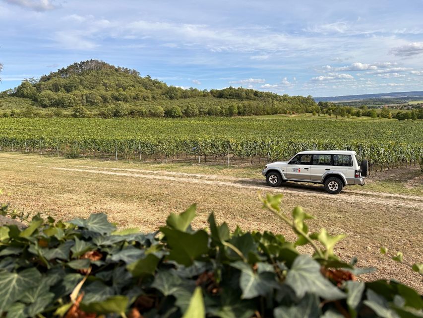 Czech Vineyards and Wine Tasting 4WD Tour with Lunch - Guide quality and what the names tell you