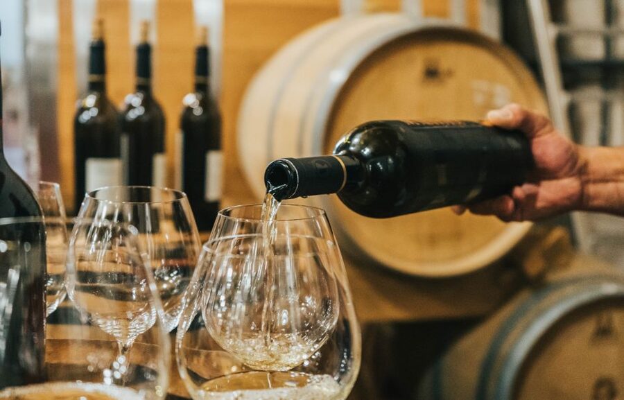Czech Vineyards and Wine Tasting 4WD Tour with Lunch - Price and value check for a $387 per person day