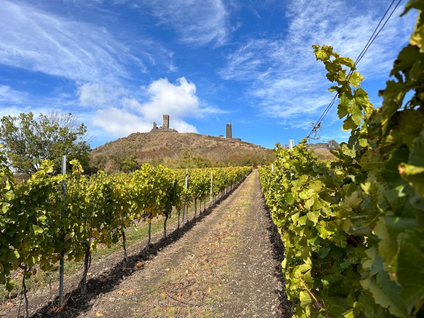 Czech Vineyards and Wine Tasting 4WD Tour with Lunch - Who this tour is best for