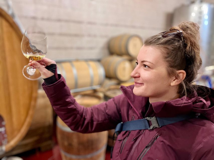 Czech Vineyards and Wine Tasting 4WD Tour with Lunch - Inside the boutique winery cellar: steel, oak, and wine stories
