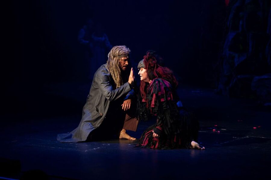 Disney's Tarzan Musical - Should You Book Disneys Tarzan Musical?