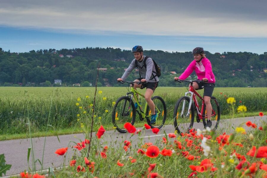 E-Bike Day Trip: Visit a Roman Castle and Taste Craft Beer - Karlstejn Castle Stop: What You See in a 15th Century Pause
