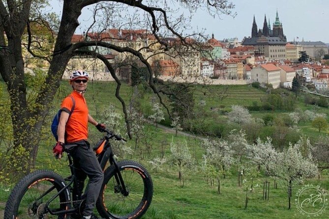 FAT TIRE E-BIKE GREAT TOUR - river, parks & panoramic views tour - Who This Tour Suits Best (And Who Might Skip It)