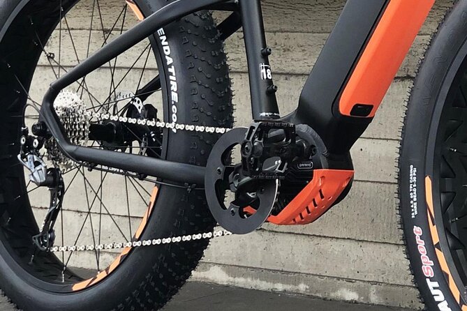 FAT TIRE E-BIKE GREAT TOUR - river, parks & panoramic views tour - Small-Group Energy and the Guide Factor