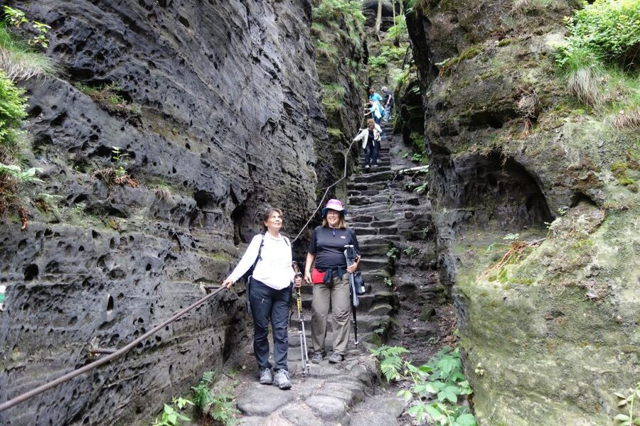 From Prague: Bohemian & Saxon Switzerland All Inclusive Tour - Guides, Timing, and Photo Stops That Actually Work