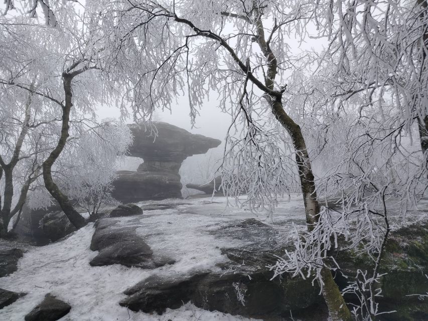 From Prague: Bohemian & Saxon Switzerland Iconic Day Trip - Small Group Service: Personal Attention Without the Big-Tour Chaos