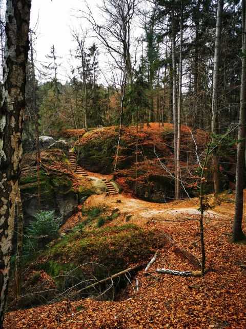 From Prague: Full-Day Bohemian Paradise Guided Hiking Trip - The walking route, from rock lookout to rock city loops