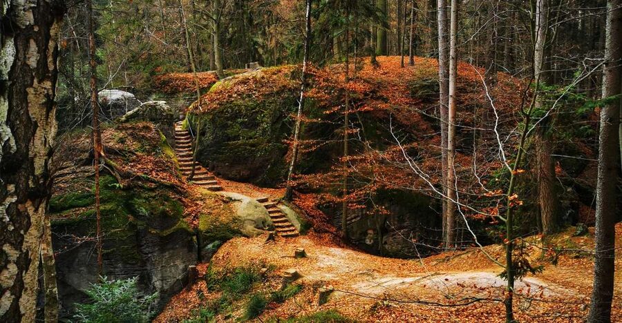 From Prague: Full-Day Bohemian Paradise Guided Hiking Trip - What to pack and how to handle rain, because this runs rain or shine