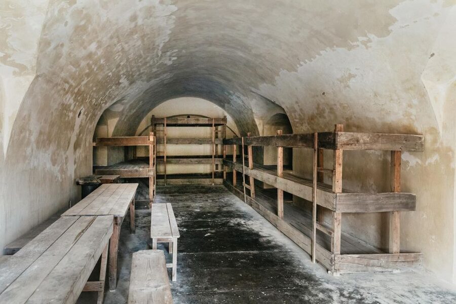 From Prague: Terezin Concentration Camp Guided Tour w/ Audio - Logistics in Prague: the Rudolfinum meeting point