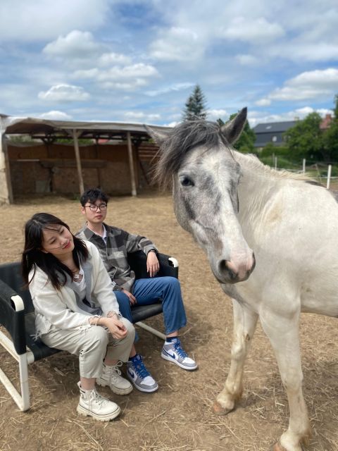 Horseback riding tour near Prague - Why this bitless, humane ride feels different near Prague