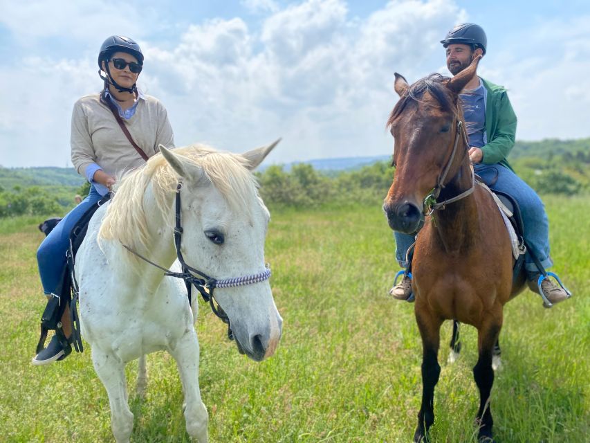 Horseback riding tour near Prague - Real-life details from reviews that can help you plan