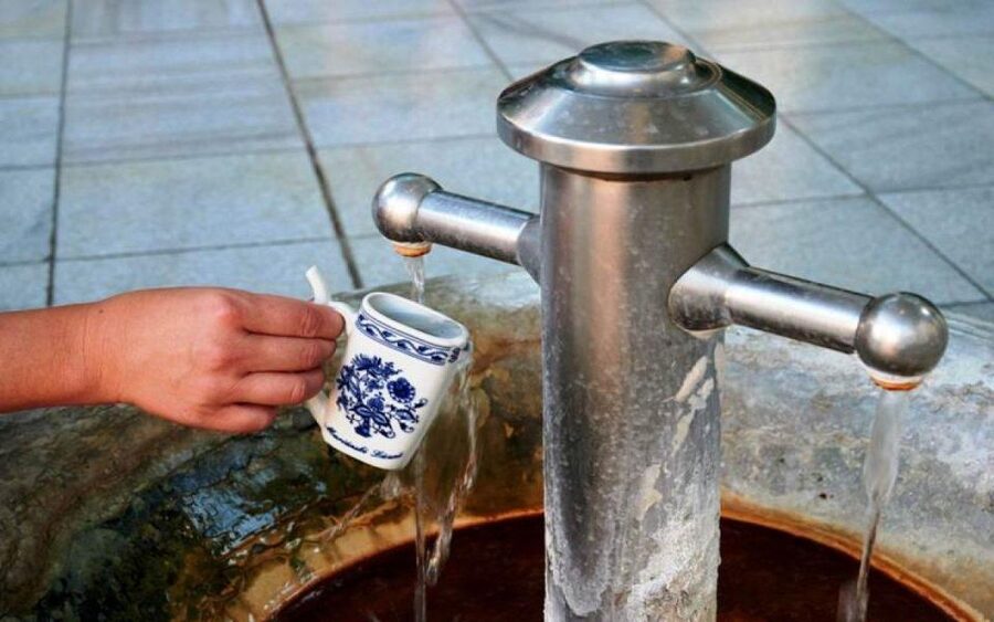 Karlovy Vary: Mineral Hot Springs Tasting and Walking Tour - Meet your guide: Dominik as an example of what good looks like
