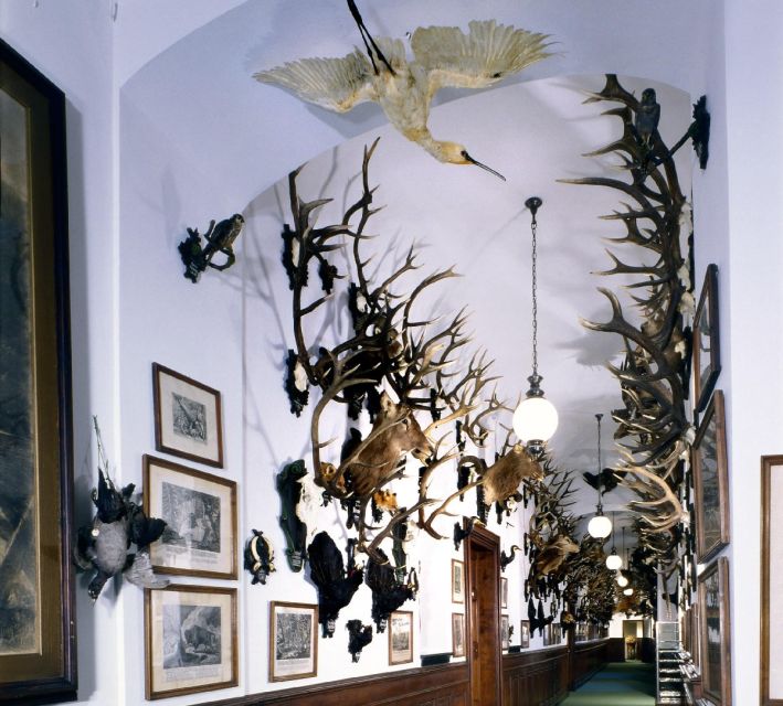 Konopiště: Chateau Tour from Prague - Guide vs Audio Guide: How Language Can Affect Your Experience