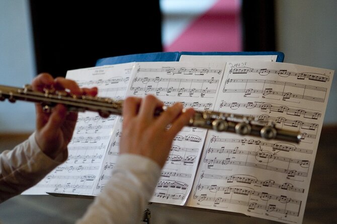 Lobkowicz Palace Concert in Prague Ticket - Who this 1 pm chamber concert is best for