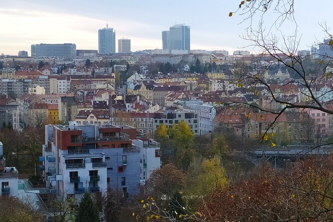 Non-touristy Prague - Cozy Neighborhoods - Private Tour - The TV Tower and Parukarka Park Views Without the Crowd