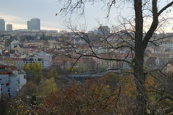 Non-touristy Prague - Cozy Neighborhoods - Private Tour - Grebovka Vineyards in a Park Setting