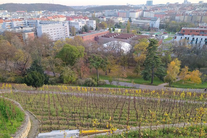 Non-touristy Prague - Cozy Neighborhoods - Private Tour - Karlovo Naměstí, Emmaus, and Palacký’s Free Speech Zone