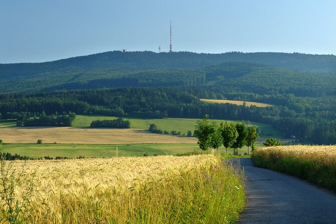 One day trips in the surroundings of Cesky Krumlov - Budejovický Budvar brewery, 3D or tour