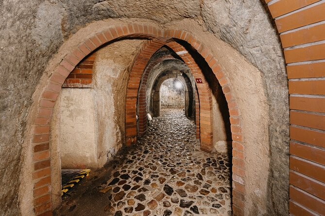 Pilsen Historic Underground Tour with a Glass of Beer - What Makes Pilsen’s Underground Tour Worth Your Hour