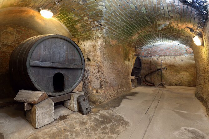 Pilsen Historic Underground Tour with a Glass of Beer - Inside the Labyrinth: What the 1-Hour Walk Feels Like