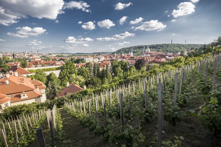 Prague: 3–Hour Castle Grounds Walking Tour and River Cruise - Charles Bridge Museum stop, then crossing the bridge with context