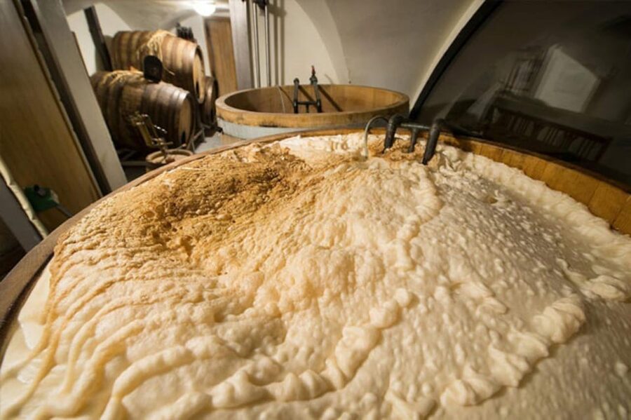 Prague: Beer Tasting and Brewery Tour - Timing, walking, and how to plan your day in Prague