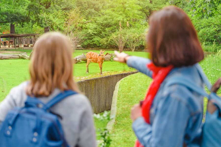Prague: Boat Ride to the Zoo and Admission Ticket - Your guide and language options: what to expect