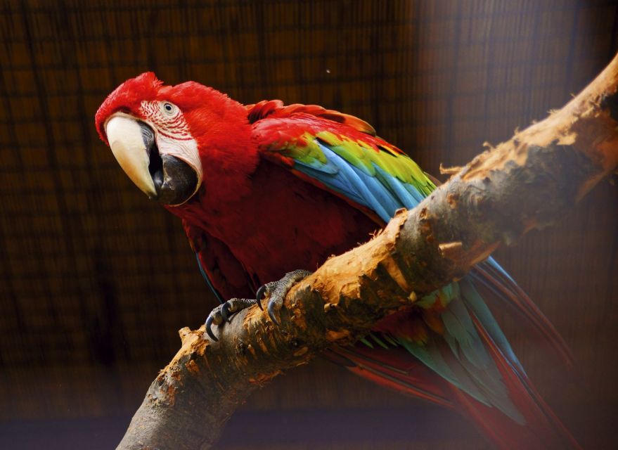 Prague: Boat Ride to the Zoo and Admission Ticket - $74 value: why the bundle price can make sense