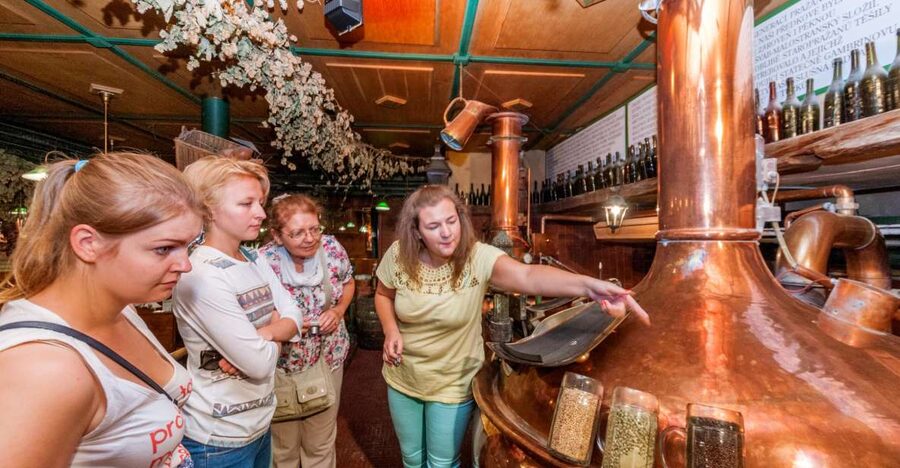 Prague: Brewery Tour with Unlimited Tastings - Key things to know before you go