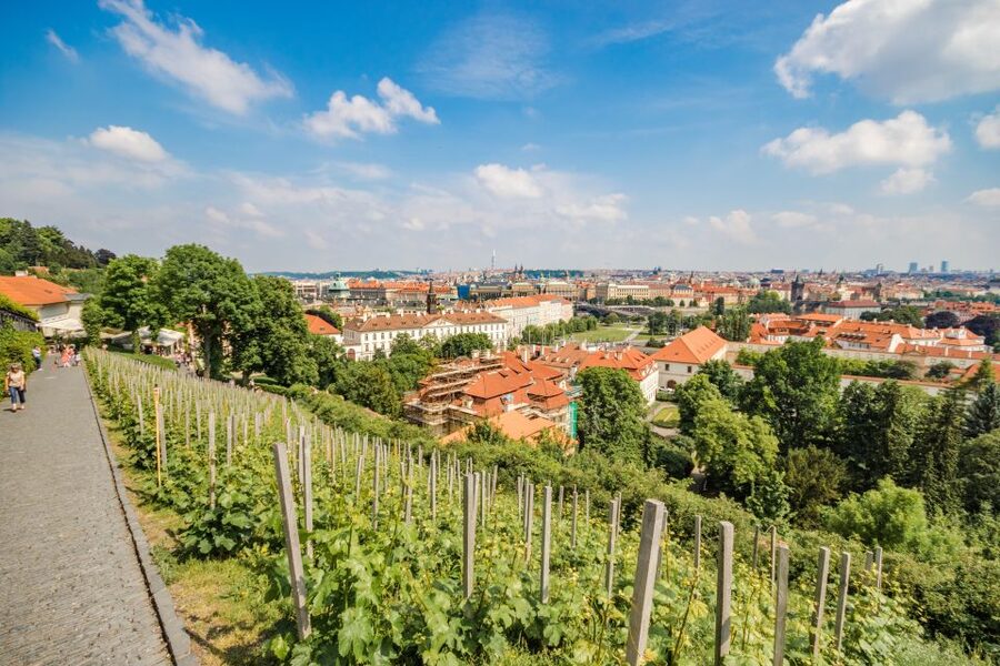 Prague Castle 2.5-Hour Tour Including Admission Ticket - Prague Castle, the right way: a 2.5-hour circuit that actually fits