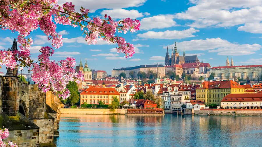Prague: Castle Circuit Entry Tickets with Audio Guide - Prague Castle Circuit: a big area, a simple ticket plan