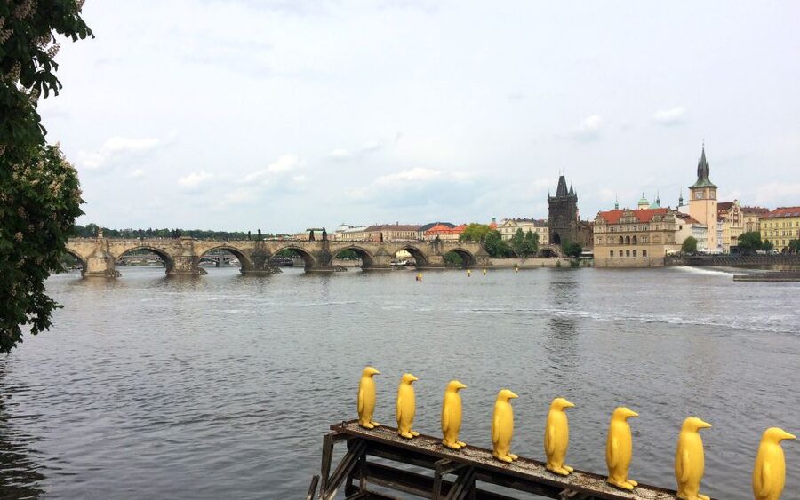 Prague: Classic City Bike Tour - Why this Prague bike loop is a smart match for first-timers
