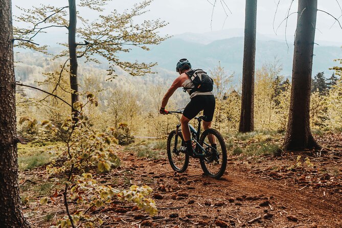 Prague E-Mountain Biking Adventure In The Bohemian Paradise - Hrad Valdštejn: Castle Time Without the Bus-Stop Rush