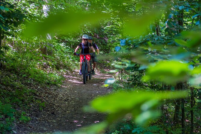 Prague E-Mountain Biking Adventure In The Bohemian Paradise - The Actual Riding Difficulty: Easy, Medium, and Some Challenge