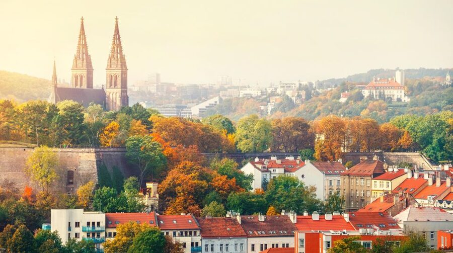 Prague: Guided tour to the historic fortress of Vyšehrad - Vyšehrad cemetery: a music history stop with real names